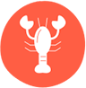 shellfish